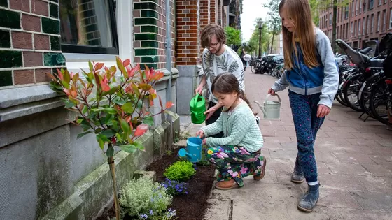 Geveltuin vierdaagse