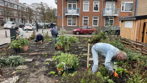 Groene buren Oud-Mathenesse Update 🌿