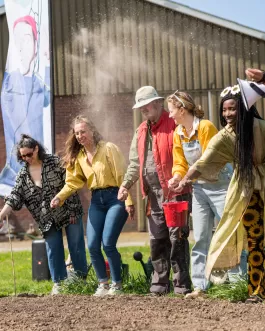Zaaidag2.jpg