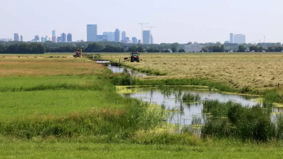 Leve de delta! Hoe ontwerpend onderzoek ons leven op peil kan houden