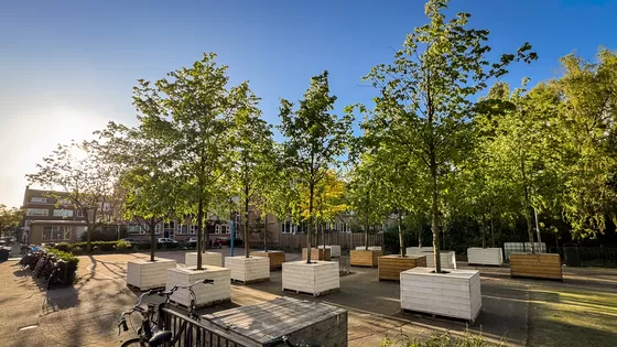 Bos op Poten brengt schaduw en ontmoeting