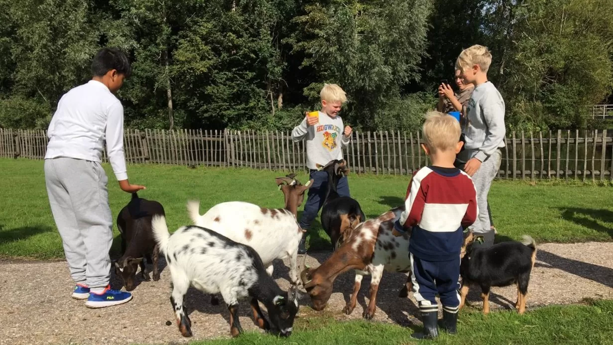 Agenda Stadsboerderij de Bokkesprong