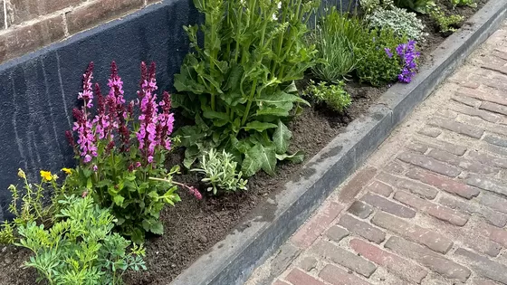 Geveltuin vierdaagse