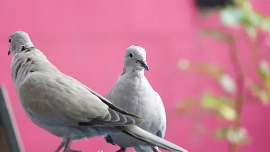 Natuur in Mathenesse: genieten van de kleine dingen