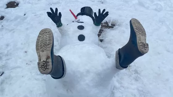 Een sneeuwwit begin van het nieuwe jaar