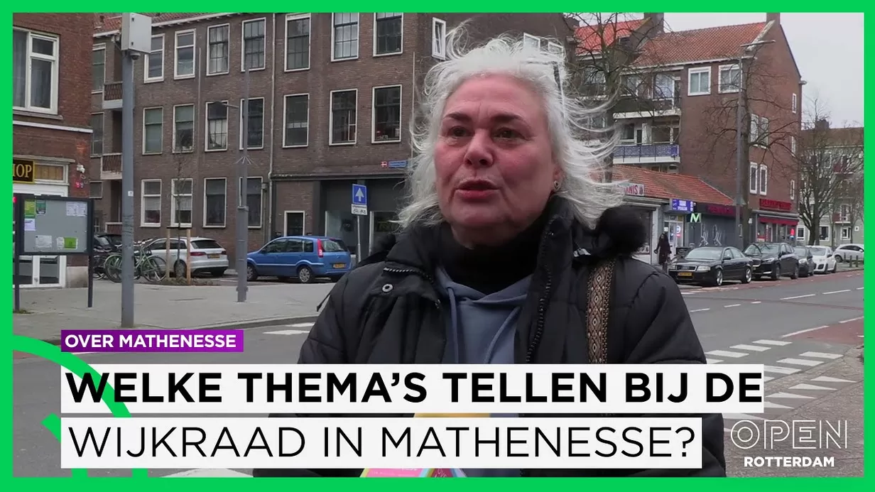 Wat weet Mathenesse van de Wijkraad?