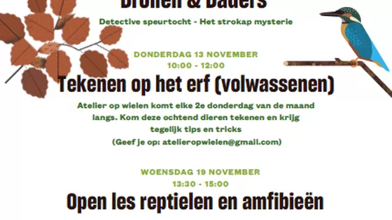 Activiteiten november Activiteiten november