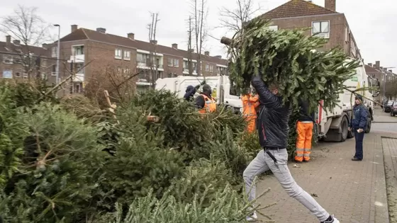 Geld verdienen met kerstbomen inleveractie