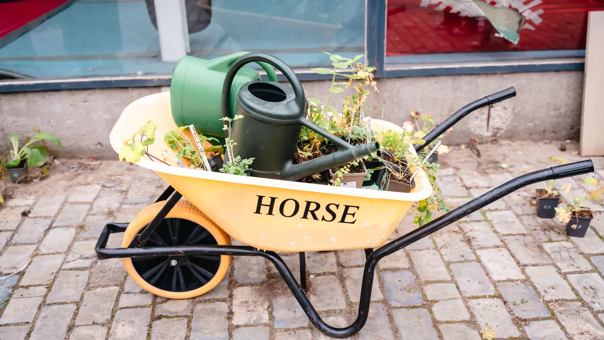 Geveltuinenactie Doggerstraat & Suiestraat 🌿