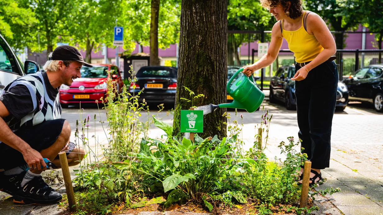 Boomspiegelfeest brengt groen en gezelligheid naar de buurt