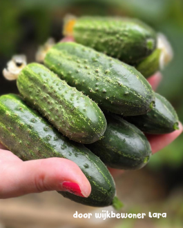 1755699410_Design_Here_(2).png 1755699410_Design_Here_(2).png