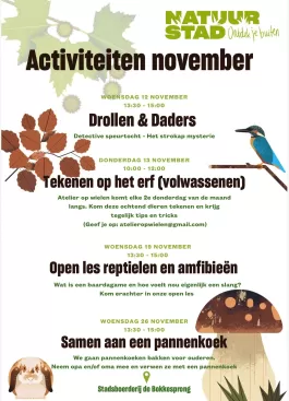 activiteiten_november.jpeg