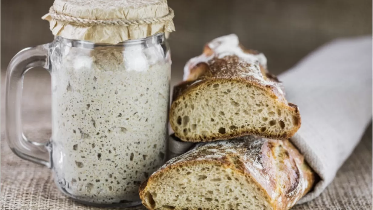 Sourdough workshop