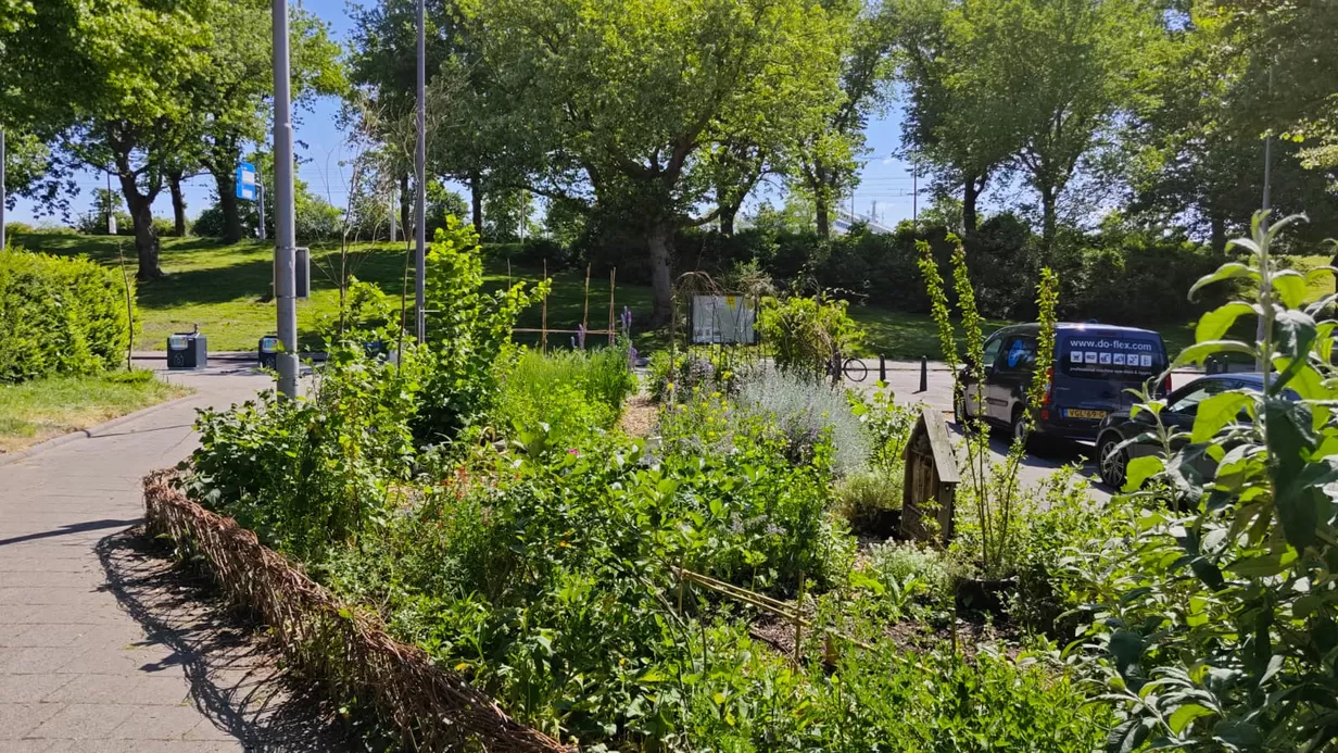Wijkkeuken SPECIAL: Buurtuin BBQ