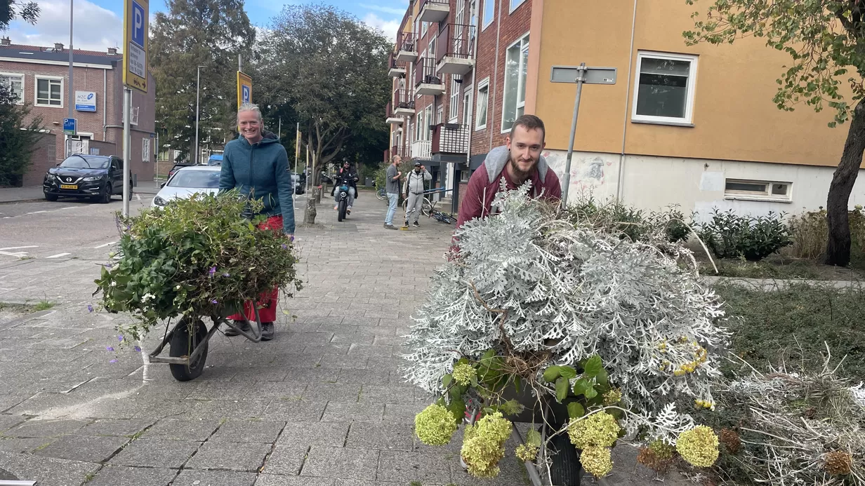 Geveltuinenactie Hekbootstraat & Boeierstraat 🌿