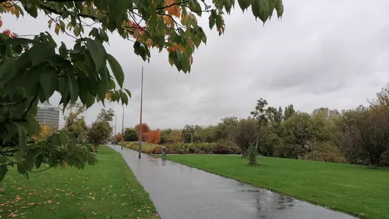 De Parel: Het Dakpark boven de Big Shops 