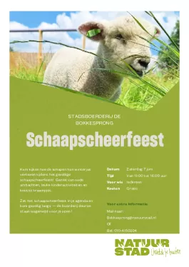 Kopie_van_Evenementposter_-_Groen_dubbele_titelregel_(3).pdf