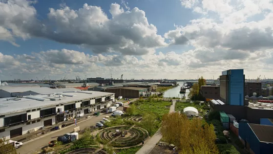 M4H IN DE MAAK: Ontwerpend onderzoek en de impact van water in M4H/Keilekwartier