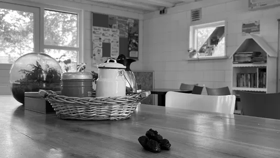 Drollen & Daders (speurtocht) Drollen & Daders (speurtocht)