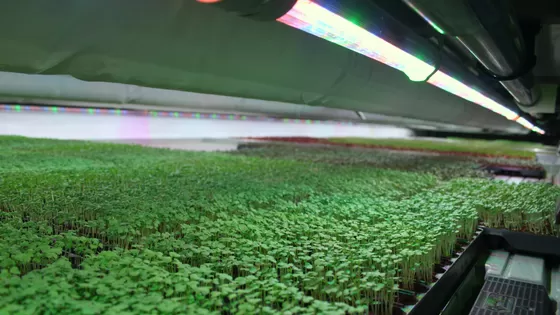Persbericht: Floating Farm blijft drijven: Wij zijn gewoon open!