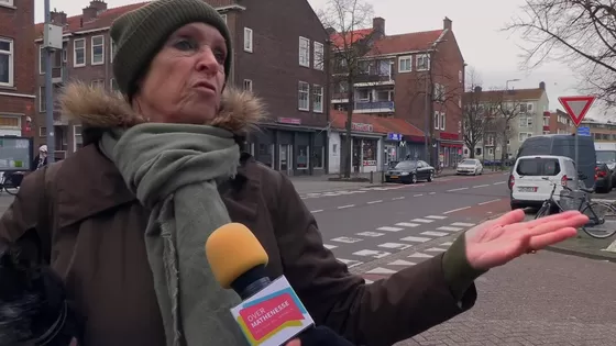 Wat weet Mathenesse van de Wijkraad?